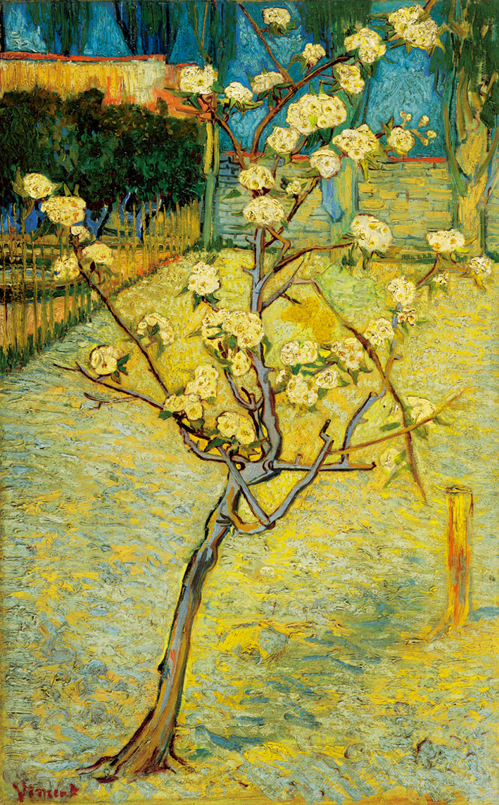  文森特·威廉·梵高  Vincent Willen Van Gogh ——开花的小梨树(April 1888 - 1888)